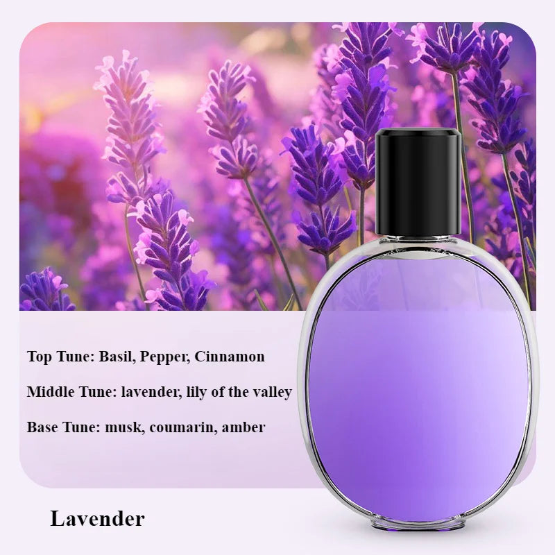 Mini Portable Essential Oil Diffuser - USB Ultrasonic Aroma Humidifier